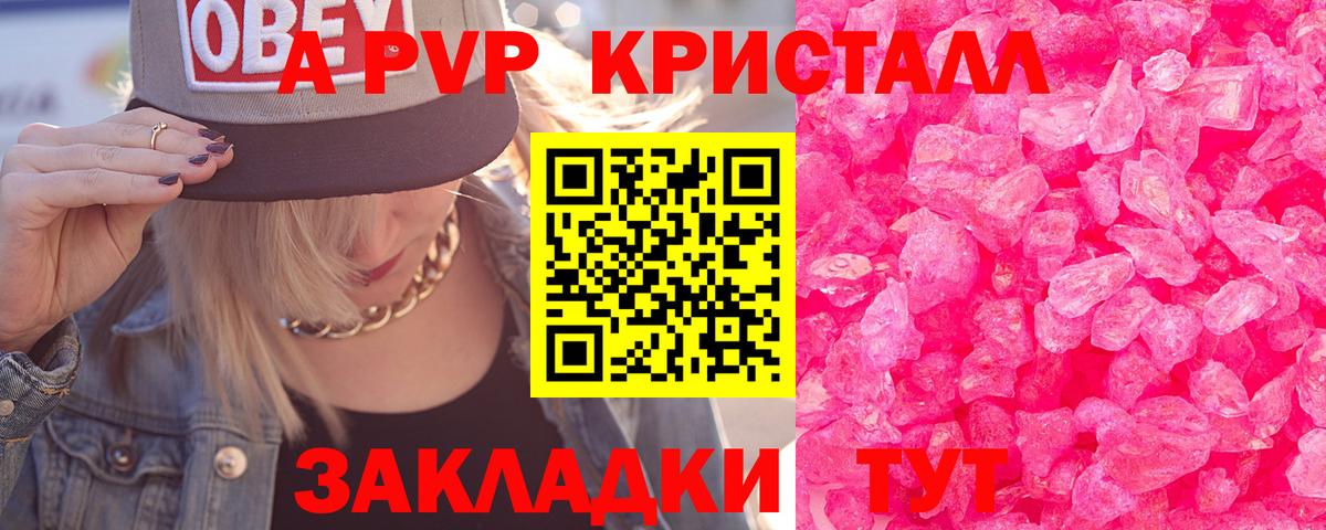 Курчалой  А ПВП СК КРИС  A-PVP  APVP СК  Вход с VPN 