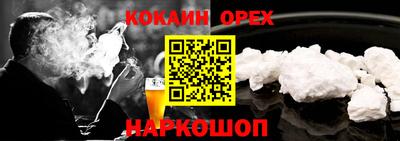 гашик Камышлов