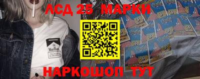гашик Камышлов
