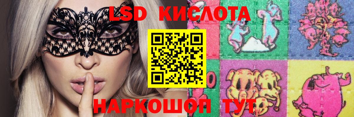 ЛСД экстази кислота  Вход с VPN  ЛСД экстази кислота  Курчалой 