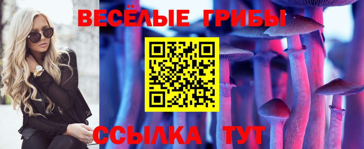 Галлюциногенные грибы Psilocybe  Псилоцибиновые грибы MAGIC MUSHROOMS  Вход с VPN  Курчалой 