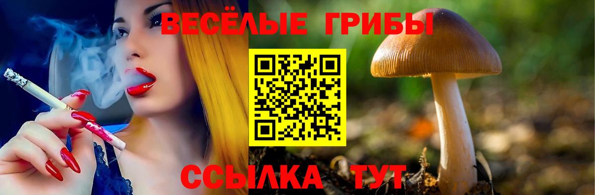 Галлюциногенные грибы MAGIC MUSHROOMS Курчалой